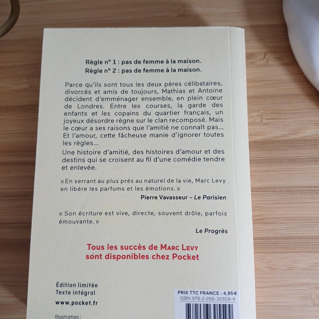 Livre " Mes amis mes amours " de Marc Levy