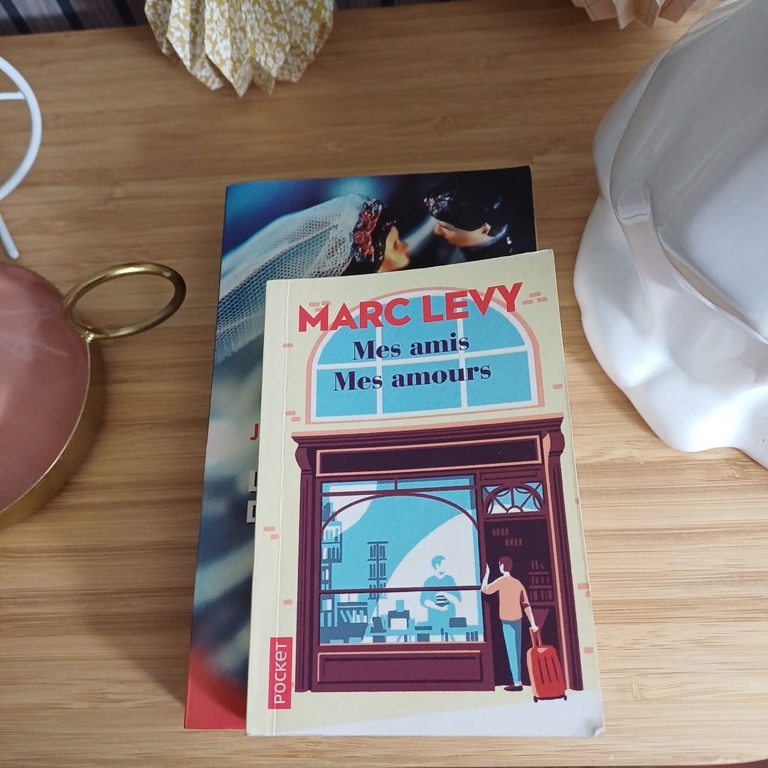 Livre " Mes amis mes amours " de Marc Levy