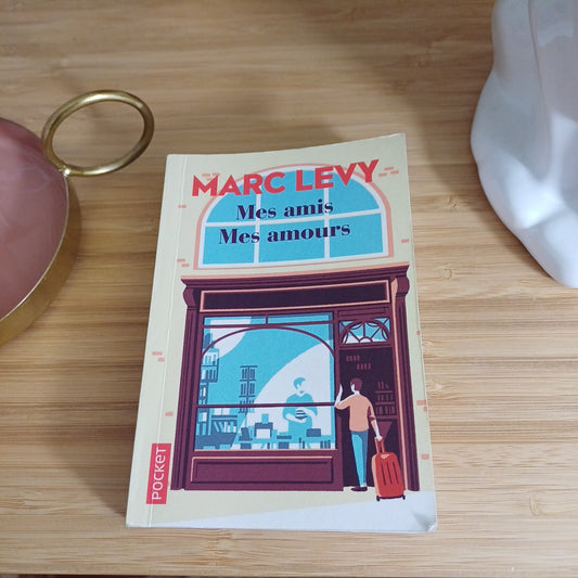 Livre " Mes amis mes amours " de Marc Levy